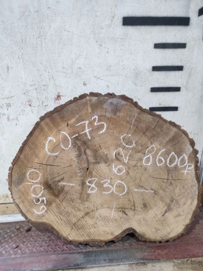 Спил СО-73 Орех 830*620*100