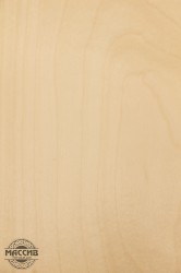 Шпон Клен Европейский 0,6 А