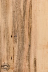 Шпон Клен Гузано 0,6 А